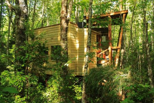 a tree house in the middle of the forest at Casita Arbol in Puerto Fuy