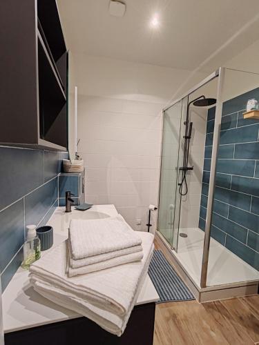 une salle de bain avec un lavabo et une douche dans l'établissement Garden Atlantide Promenade, à Nice