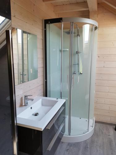 un bagno con lavandino e doccia di Chalet des platanes Entre l'Alsace et les Vosges Nature a La Grande Fosse