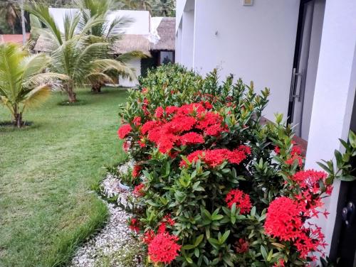 a garden with red flowers in a yard at Mar Turquesa Eco Pousada in Maragogi
