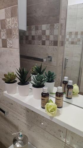 a shelf with potted plants on it in front of a mirror at Fehérvár Cappuccino apartman City center, AC, Easy Parking in Székesfehérvár