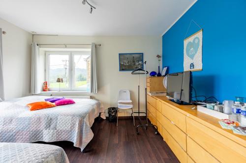 ein Schlafzimmer mit einem Bett und einem TV auf einer Kommode in der Unterkunft Magnifiques chambres d'hôtes au grand air in Anhée