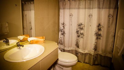 a bathroom with a sink and a toilet and a shower curtain at Complejo Cabañas Quilamalen in Villarrica
