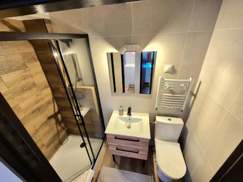 a bathroom with a toilet and a sink and a shower at Willa Roża Wiatrów in Karpacz