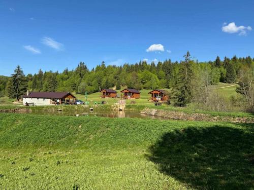a group of houses in a field next to a river at Cabane Areama Neagra in Izvoru Mureşului