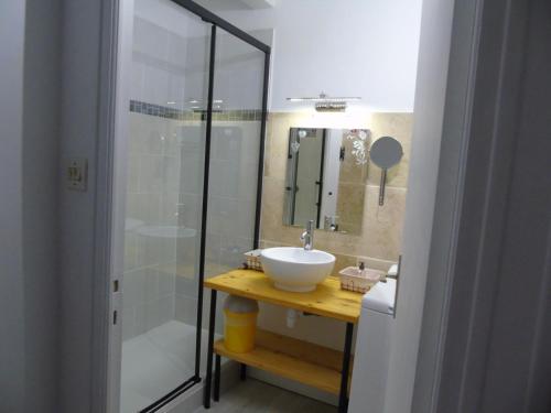 une salle de bain avec un lavabo et une douche dans l'établissement idéal curiste, à Gréoux-les-Bains