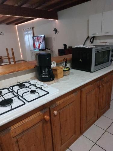 Il comprend une cuisine équipée d'une cuisinière et d'un four micro-ondes. dans l'établissement Dominique et Françoise, à Fourques-sur-Garonne