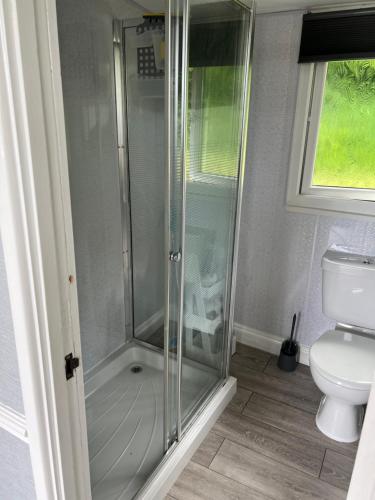 a shower stall in a bathroom with a toilet at Woodlands Pheasant Chalet, Bideford Bay in Bideford