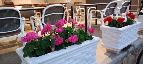 Hotel Villa Ruci في كساميل: عبوتين بيضاء مليئة بالورود على الطاولة