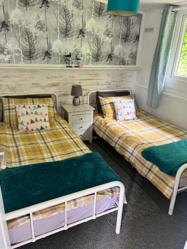 a bedroom with two beds and a wall mural at Woodlands Pheasant Chalet, Bideford Bay in Bideford
