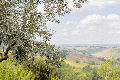 a view of a valley from a tree at Villa Tra Vigne e Stelle in Neive