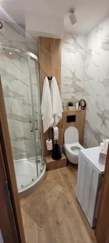 ein Badezimmer mit Dusche und Toilette in der Unterkunft Gold Apartament in Olsztyn