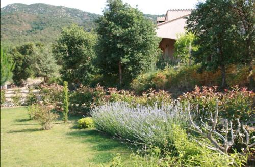 un jardin avec des fleurs et des arbres et une maison dans l'établissement Bungalow, à Sorède