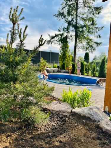 a christmas tree in front of a swimming pool at Ostoya Zawory -domki premium ,strefa relaksu, basen in Zawory