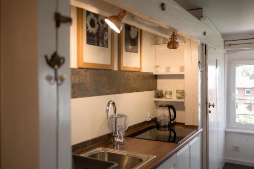 eine Küche mit einer Spüle und einer Arbeitsplatte in der Unterkunft Rustykalny Apartament in Toruń