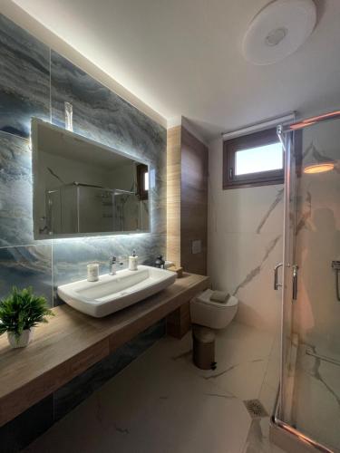 a bathroom with a sink and a toilet and a mirror at Panoramic suite in Kastoria