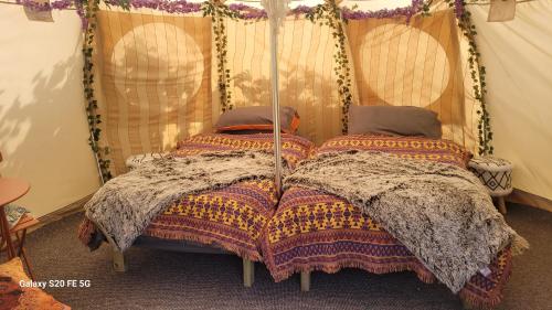 Katil atau katil-katil dalam bilik di glamping in Dromineer