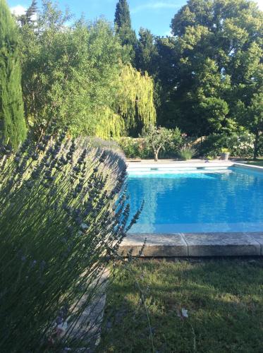 einen Pool in einem Garten mit Gras und Bäumen in der Unterkunft Authentique Mas avec piscine et pool house in Mouriès