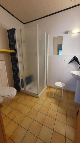 une salle de bain avec une douche, des toilettes et un lavabo dans l'établissement Appartement Le Petit Vadrouilleur, à Ribeauvillé
