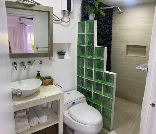 La salle de bains est pourvue de toilettes, d'un lavabo et d'un miroir. dans l'établissement Hotel Casa Madero, à Envigado