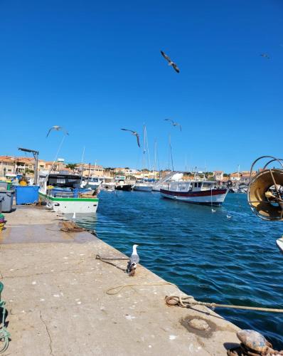 Appartement de la Côte bleue