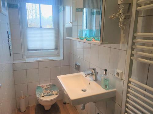 Un baño con lavabo e inodoro en F-1064 Rhododendronbluete in Lietzow, en Lietzow