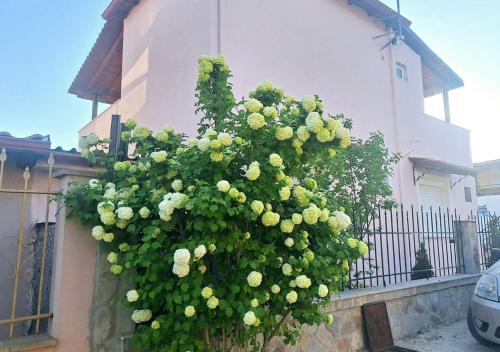 Fotografie z fotogalerie ubytování Seaside Family Villa v destinaci Karianí