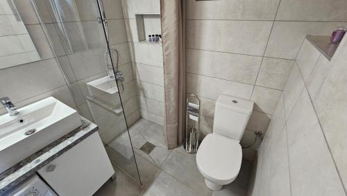 a bathroom with a toilet and a shower and a sink at Black Goat in Chrysi Ammoudia