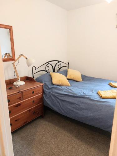 a bedroom with a bed and a dresser and a mirror at Charming 1 bedroom self-contained first floor flat in Wellington