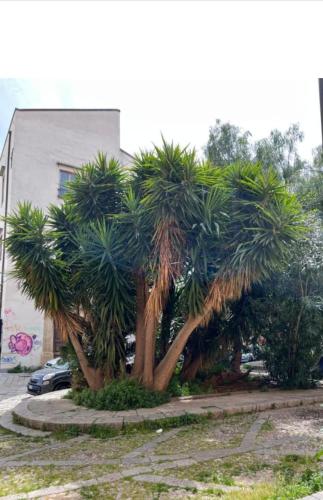 Κήπος έξω από το Sicily guest house 2