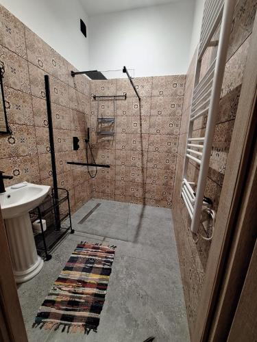 a bathroom with a shower and a sink and a sink at Za zieloną bramą in Zawiercie