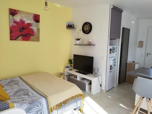 TV a/nebo společenská místnost v ubytování Bienvenue au Dormidou en Provence !