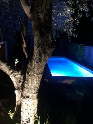 Maison provençale avec piscine