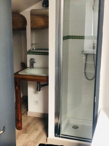 une salle de bain avec douche et lavabo dans l'établissement Maison provençale avec piscine, à Roquemaure