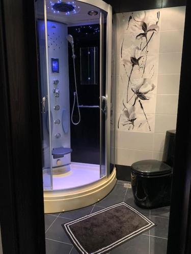 a bathroom with a shower with a glass door at Luxury Apartment Eleni in centre of Sandanski in Sandanski