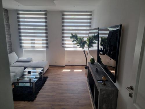 维也纳Royal Apartments的带沙发和镜子的客厅