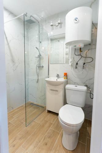 a bathroom with a toilet and a shower and a sink at FULEDA Holiday Home in Fuleda