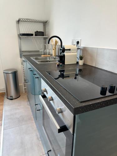 une cuisine avec un évier et un plan de travail dans l'établissement Appartement Citadelle 2, à Dunkerque