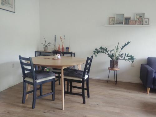 a dining room table with chairs and a blue couch at Ruim en huiselijk appartement met eigen tuin, compleet uitgerust, dichtbij natuur in Enter