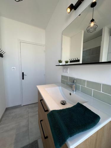 une salle de bain avec un lavabo et un miroir dans l'établissement Appartement Citadelle 2, à Dunkerque