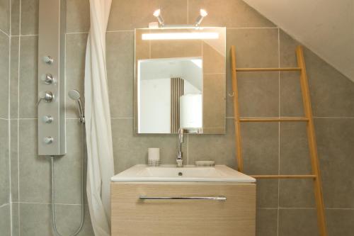 une salle de bain avec un lavabo, une douche et un miroir dans l'établissement Le Petit Hugo - Centre Ville - Parking, à Tarbes