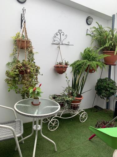 Κήπος έξω από το Depa A-Primer Piso