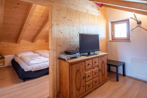a bedroom with a bed and a television in a room at Almhäuser Filzsteinalpe Almhaus 197 in Krimml