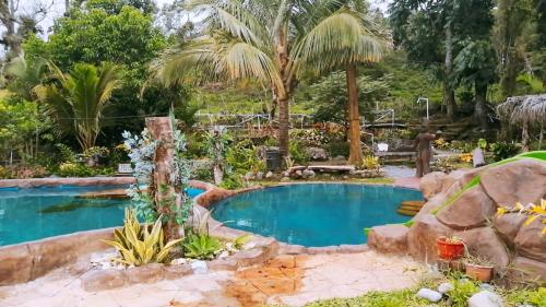a pool in a garden with palm trees at Cabañas Mountain River Lake Inn in Nueva California