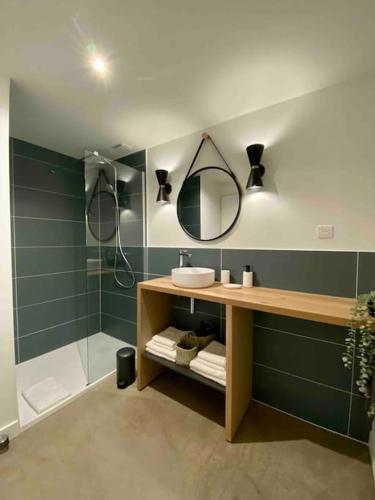 une salle de bain avec un lavabo et une douche avec un miroir dans l'établissement Le Tropical, Maison T3 - 55m2, à Poitiers