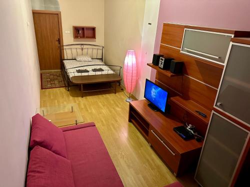 Wawel Apartament Centrum في كراكوف: غرفة معيشة مع أريكة أرجوانية وتلفزيون
