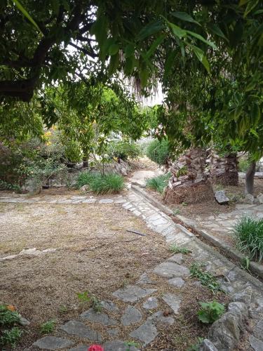a garden with a stone path and a tree at Alegria house with gardens near portoheli in Kranidi