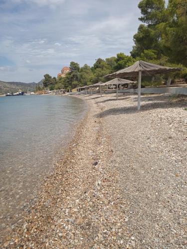 a beach with an umbrella and the water at Alegria house with gardens near portoheli in Kranidi