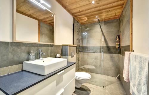 La salle de bains est pourvue d'un lavabo et de toilettes. dans l'établissement Cosy Mountain _ free park, à Montgenèvre
