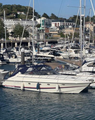 a white boat docked in a harbor with other boats at Boat Accommodation Ltd in Torquay